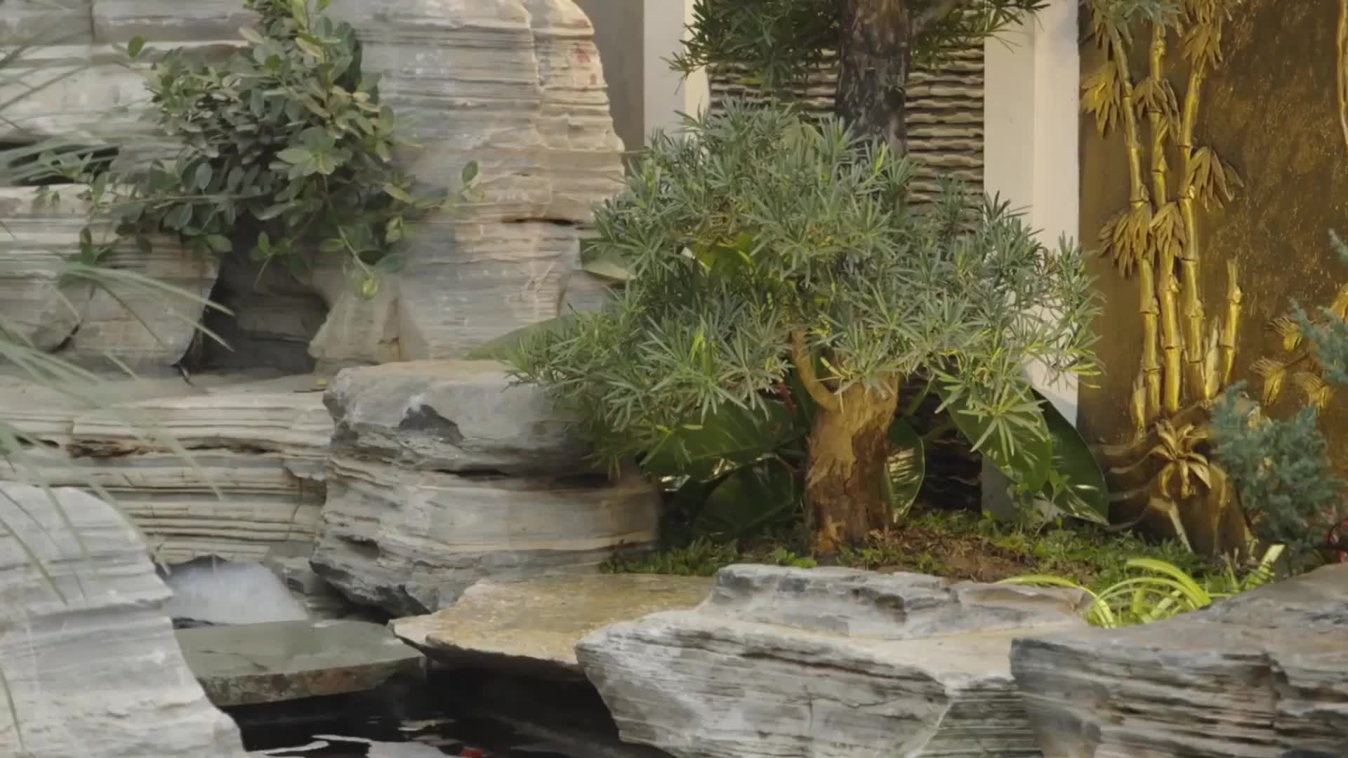 video header temporary image